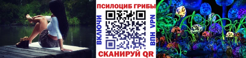 Галлюциногенные грибы Psilocybe  купить наркотик  Богородицк 