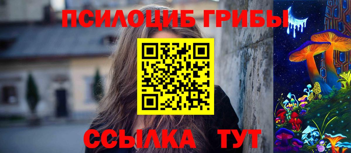 Галлюциногенные грибы Psilocybe Богородицк